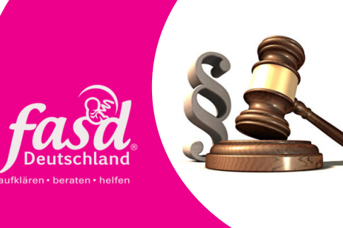 Das Foto  zeigt die Broschüre mit der Aufschrift: FASD und Recht.